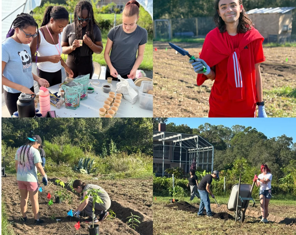 A four picture collage of students at the Growing Minds Farms farm preparing the land to grow their produce.